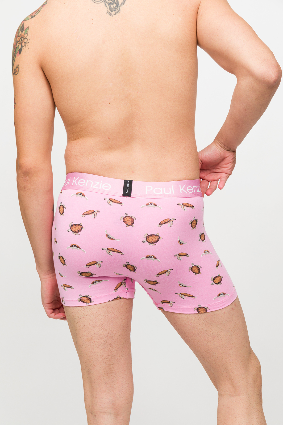 Paul Kenzie Erkek Boxer - Eco Characters - Turtley görsel 7