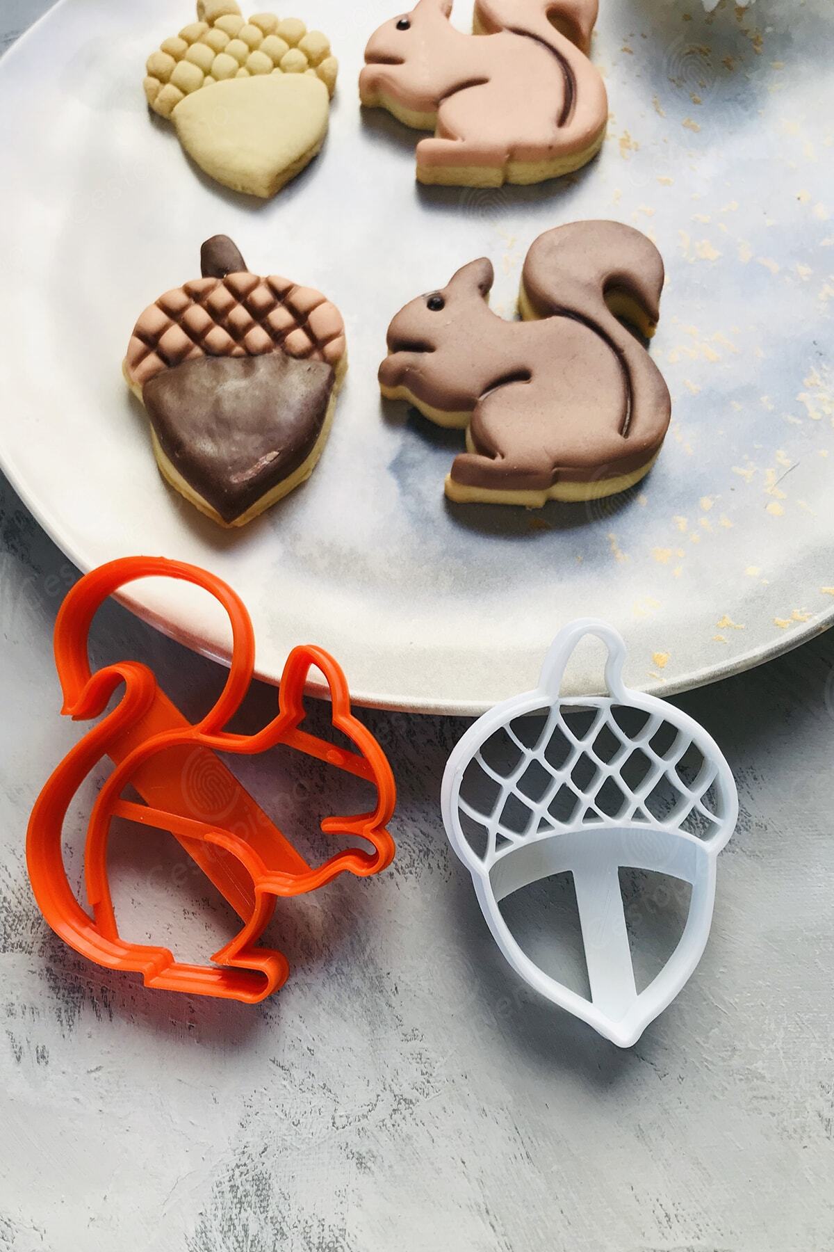 Squirrel And Acorn Dough Shaper / Cookie / Ceramic / Game / Polymer