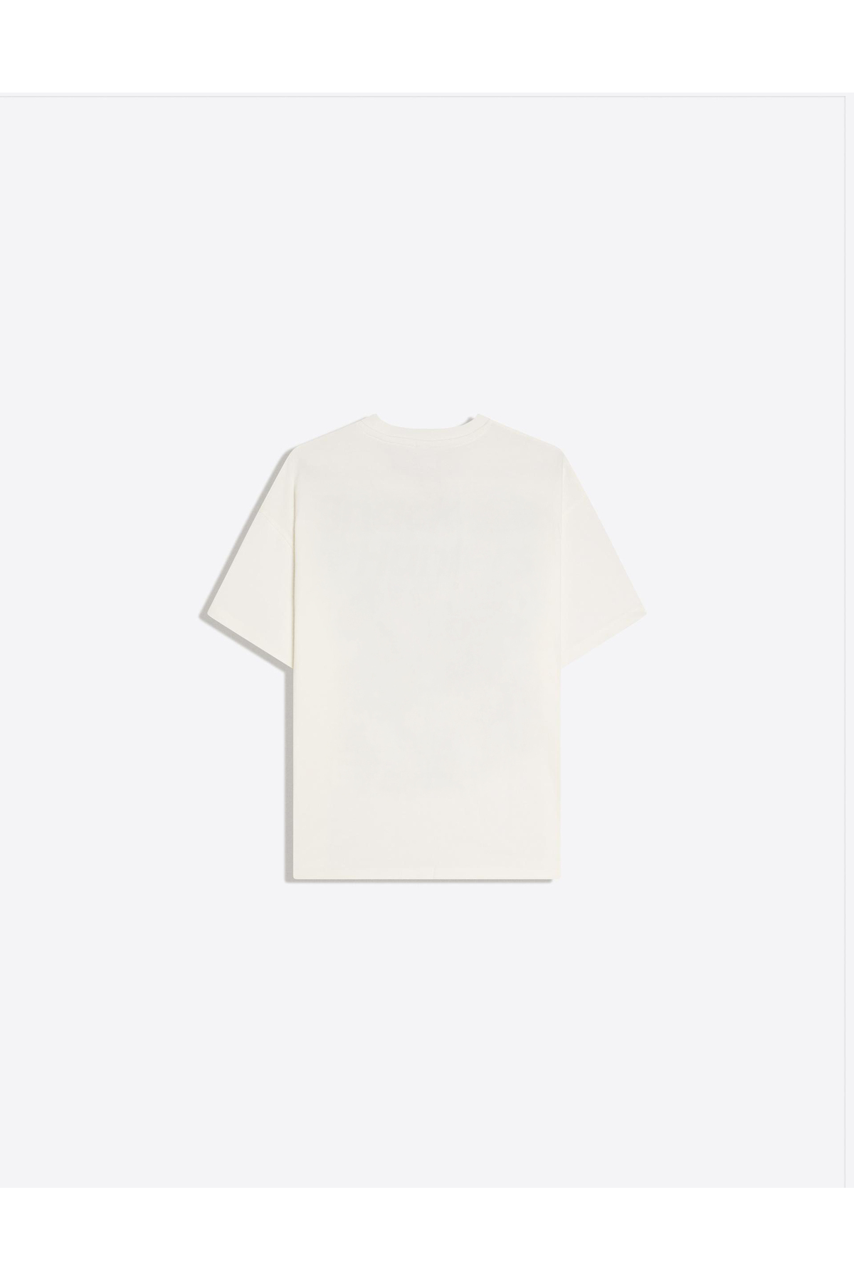 Disante  All Is Love Baskılı Bisiklet Yaka Oversize Trend Kadın T-shirt - Görsel 4