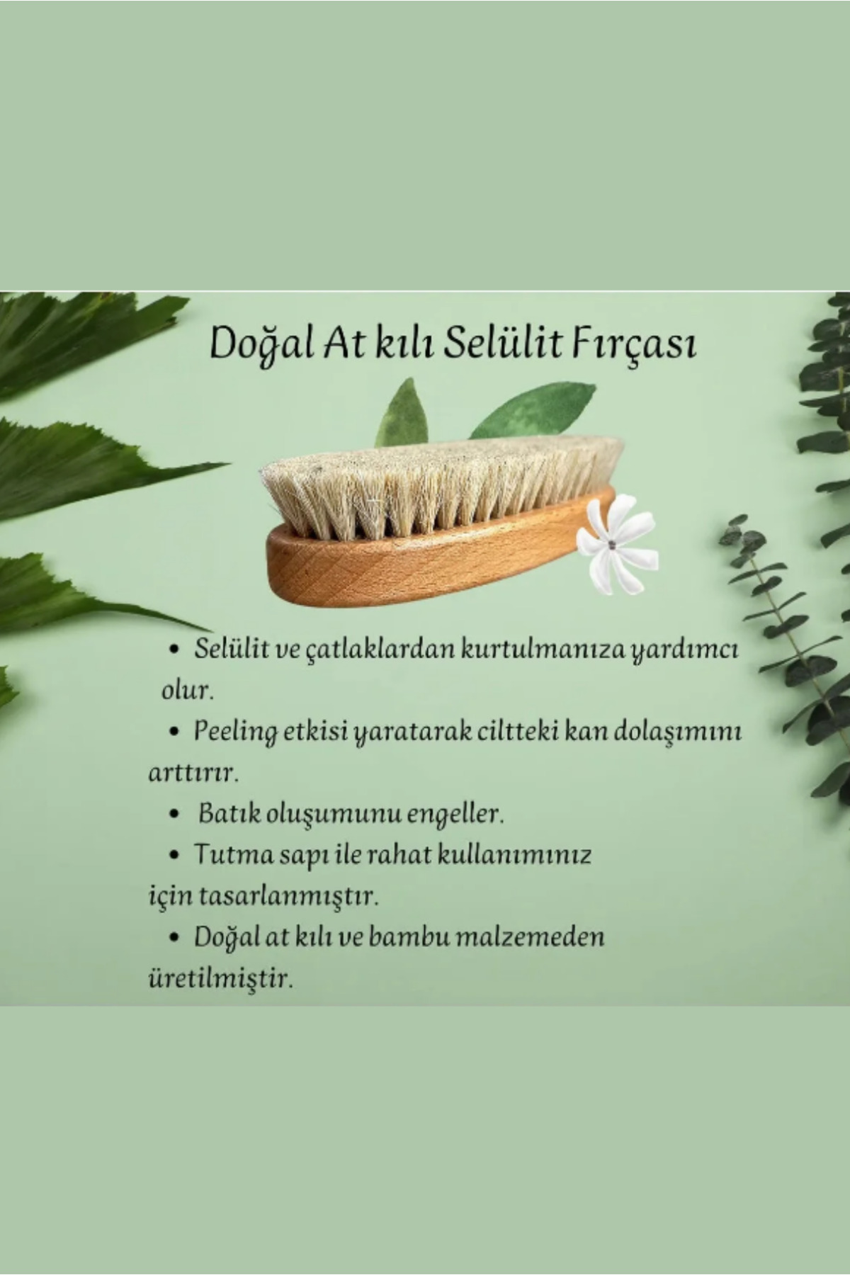 Doğal At Kılı Selülit Fırçası - Ölü Deri Temizleyici ve Peeling Etkili Fırça — ORV-SLLTFRCASI — تصویر 3 از 3