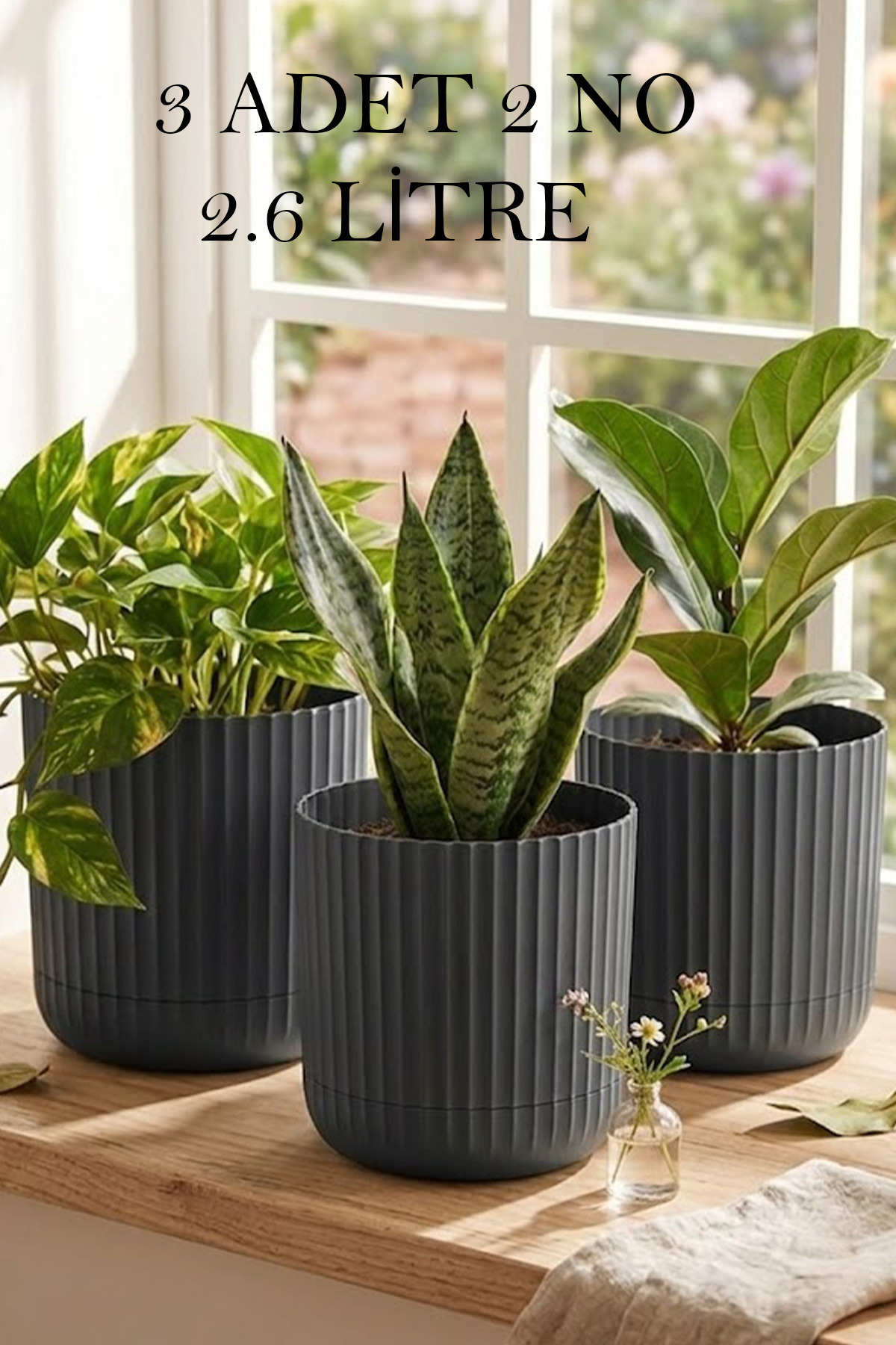 Zeraf Pot No:2-3 Pieces 2.6 Liter Table with Plate and Table Top Pot (Suitable for Home Office and Dental Space)