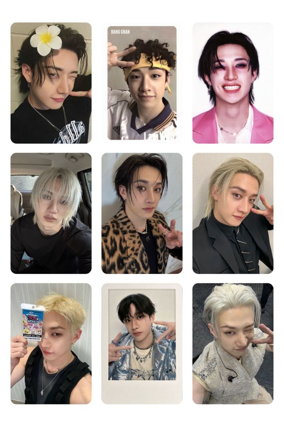 チョンハ　フォトカード sevimliflower bang chan stray kids 1 ADET FOTOKART PVC KAPLI 9*6