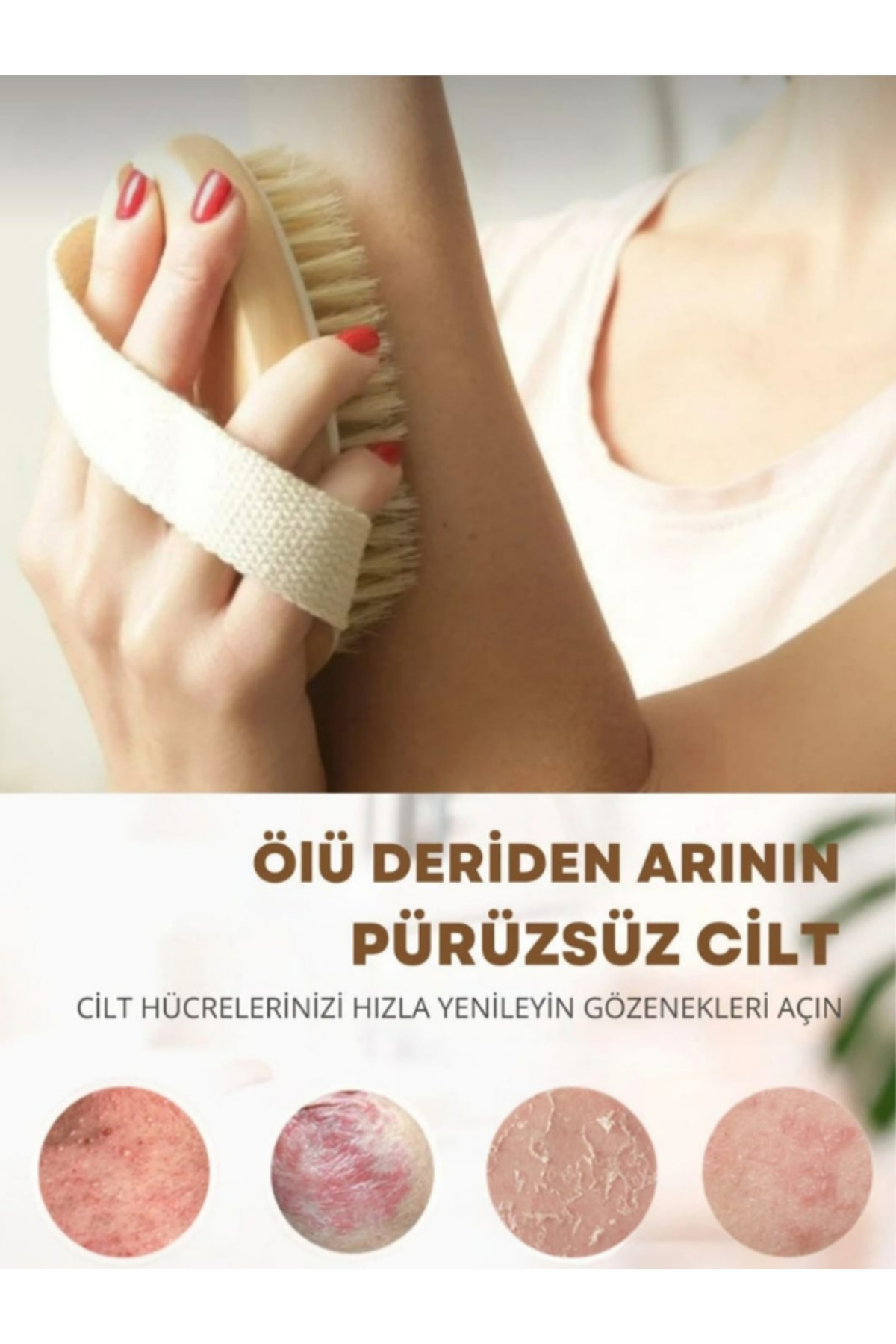 At Kılı Fırçası Selülit Karşıtı Lenf Drenaj Masaj Fırçası %100 Doğal Vücut Sıkılaştırıcı Anti Çatlak — A.fırç00-1 — تصویر 4 از 8