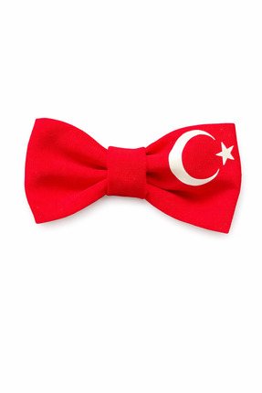 Momi Tasarım Türk bayrağı kız çocuk fiyonk toka 23 Nisan 29 Ekim (arkası Pensli)