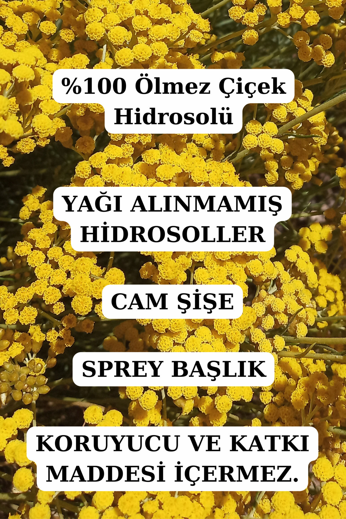Gözenek Sıkılaştırıcı Yüz Bakım Seti- Biberiye, Ölmez Çiçek Ve Mersin Suyu (3 X 100ML) Doğal — gozeneksıkılaştır1 — تصویر 3 از 5