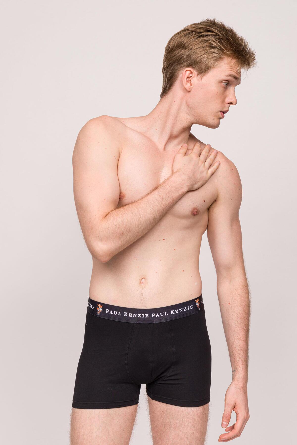 Paul Kenzie Teddy Bear Erkek Boxer 3 Adet görsel 7