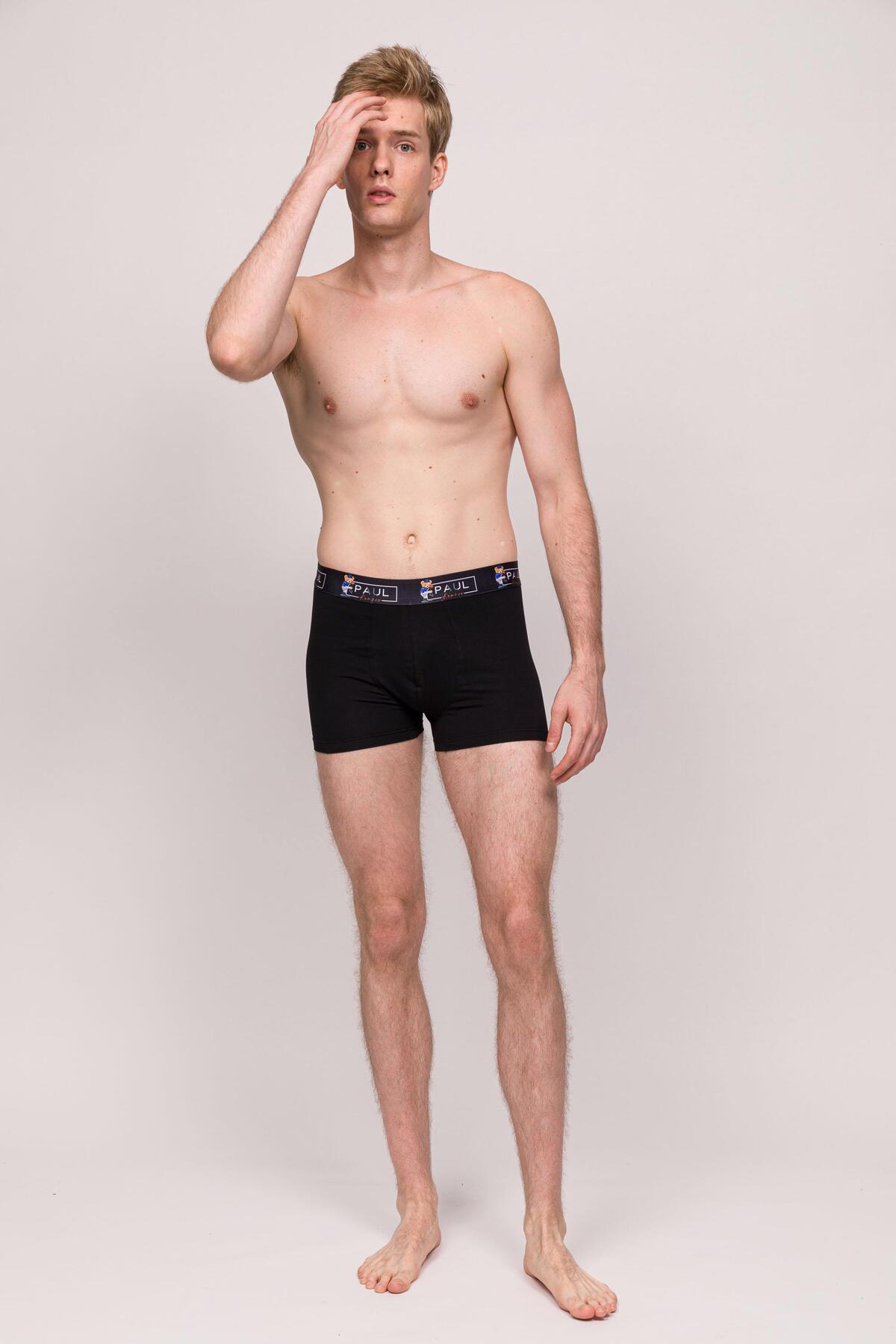 Paul Kenzie Teddy Bear Erkek Boxer 3 Adet görsel 4