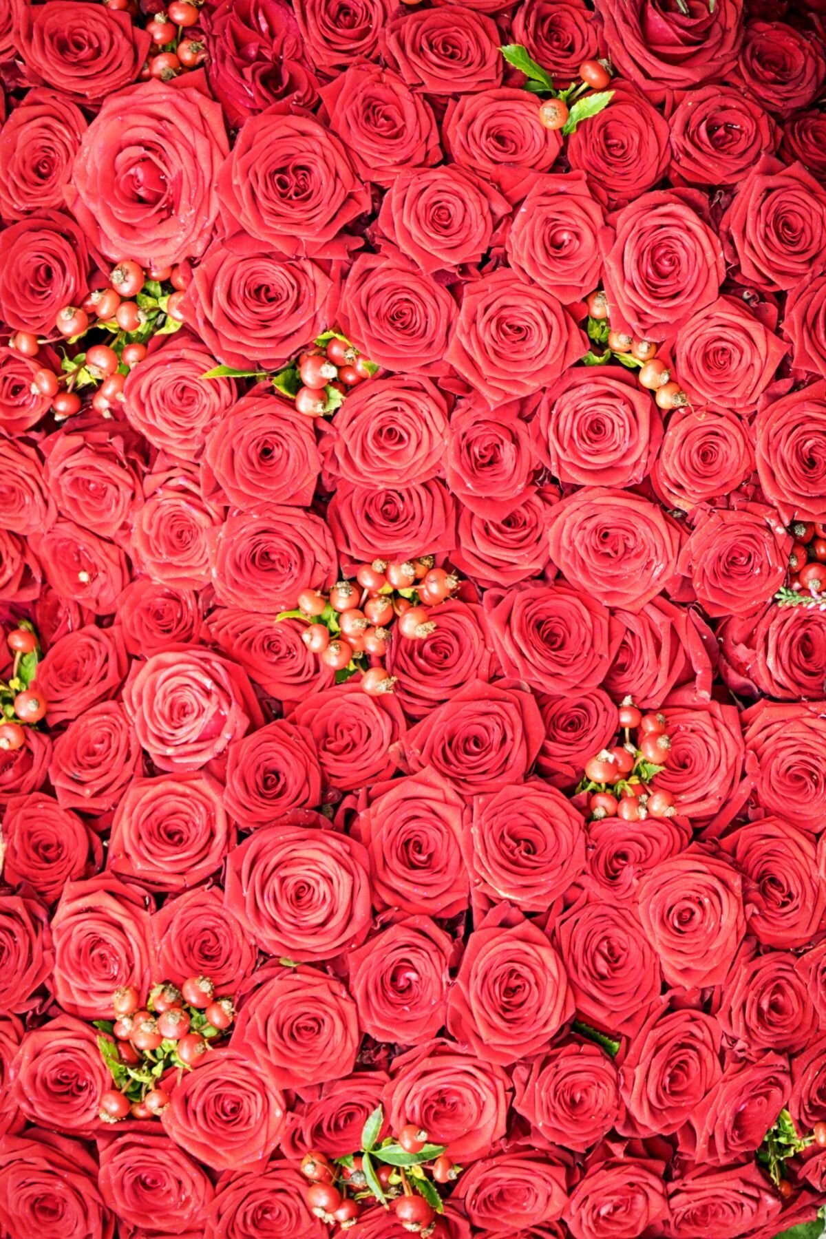 ست آب گل رز و رزماری - ست هیدروسل طبیعی رقیق نشده (۲ عدد ۱۰۰ میلی‌لیتر) — rosemaryroseset1 — تصویر 6 از 7