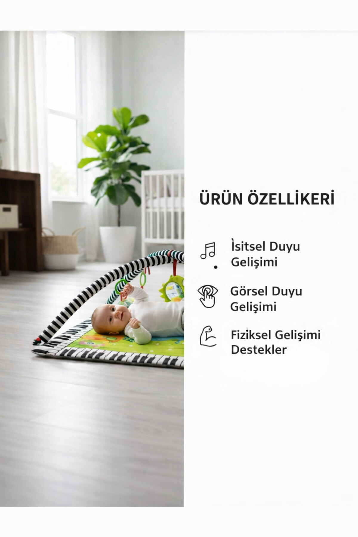 Jusso Piyano Melodik Oyun Halısı, Hayvanlar Alemi, Oyun Parkı fotoğrafı 4 (önizleme)