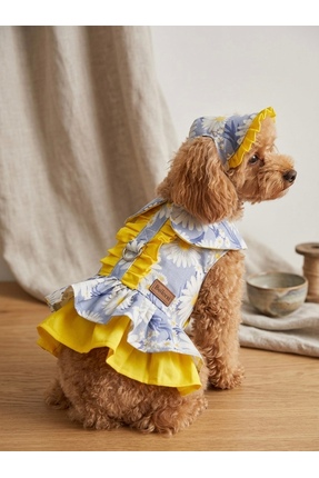 bellorsi Premium Papatya Desenli Şapkalı Küçük Irk Kedi Köpek Gezdirme Tasmas...