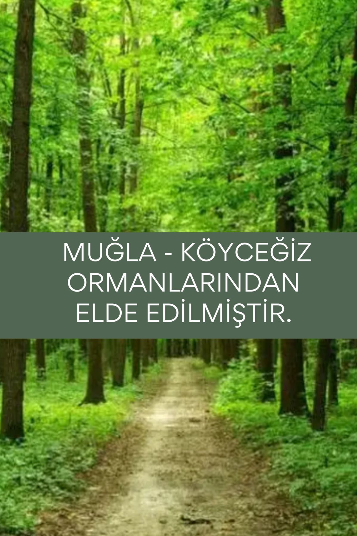 Sığla Yağı 30 Cc - Doğal Köyceğiz Günlük Yağı — siglayagi1 — تصویر 5 از 5