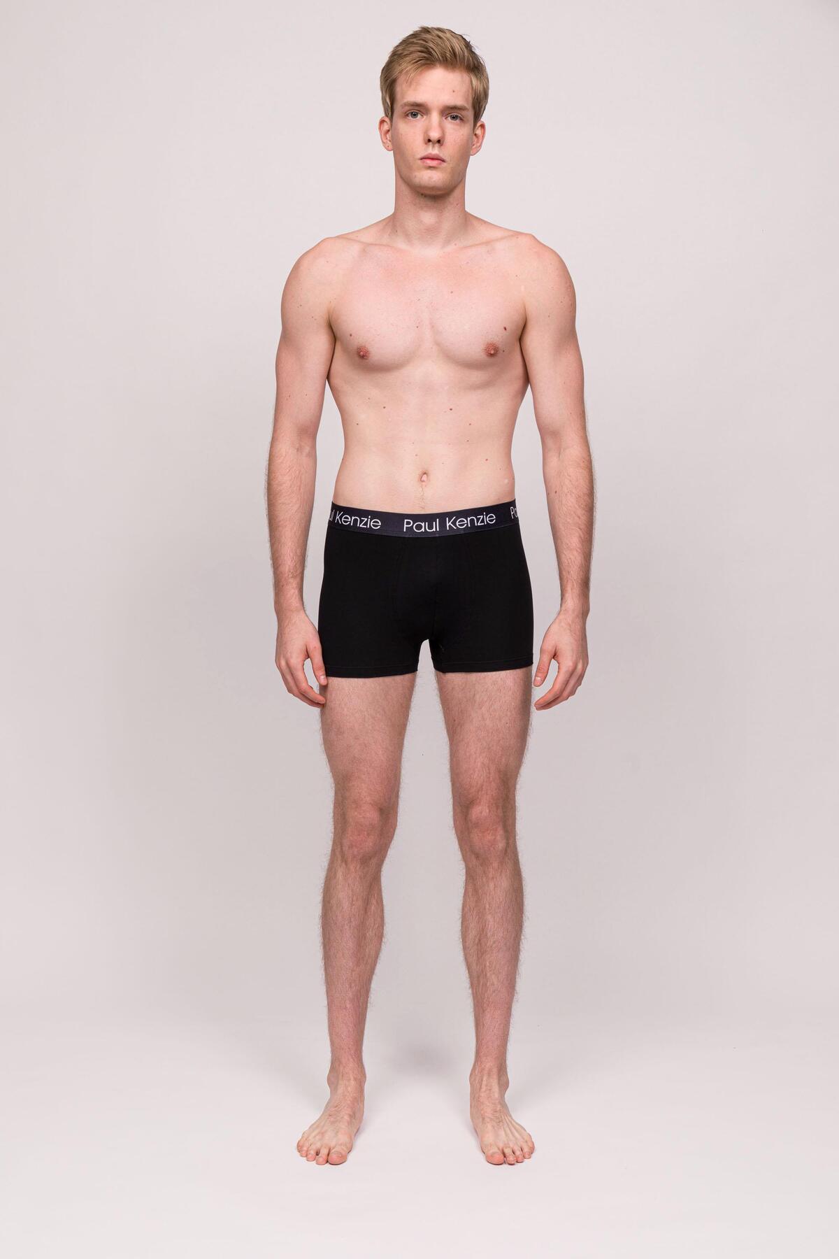 Paul Kenzie  Zebra Erkek Boxer 3 Adet - Görsel 4