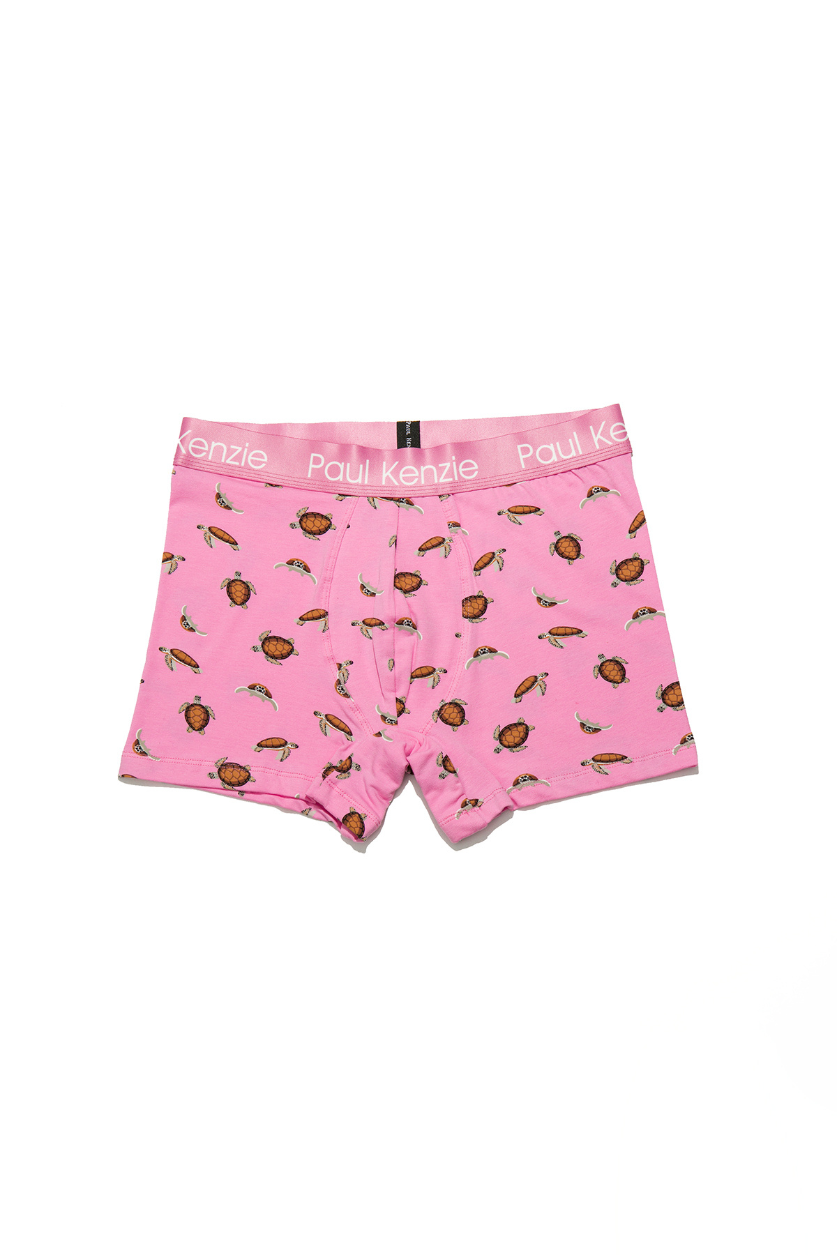 Paul Kenzie Erkek Boxer - Eco Characters - Turtley görsel 2