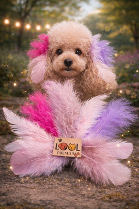 LOOL PREMİUM KÖPEK SAÇ TÜY KÖPEK TÜYÜ AKSESUAR