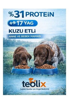 Ne verelim size Teolix Kuzu Etli Anne ve Yavru Köpek Maması %31 Protein %17 Y...