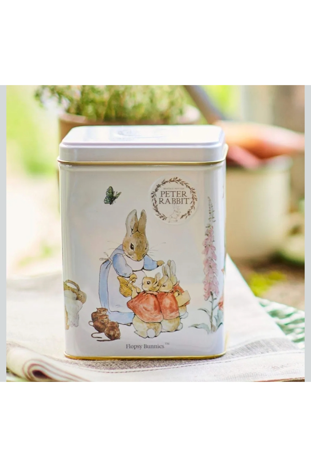 MyBalliStore Beatrix Potter Peter Rabbit Metal Kutu 40'lı İngiliz