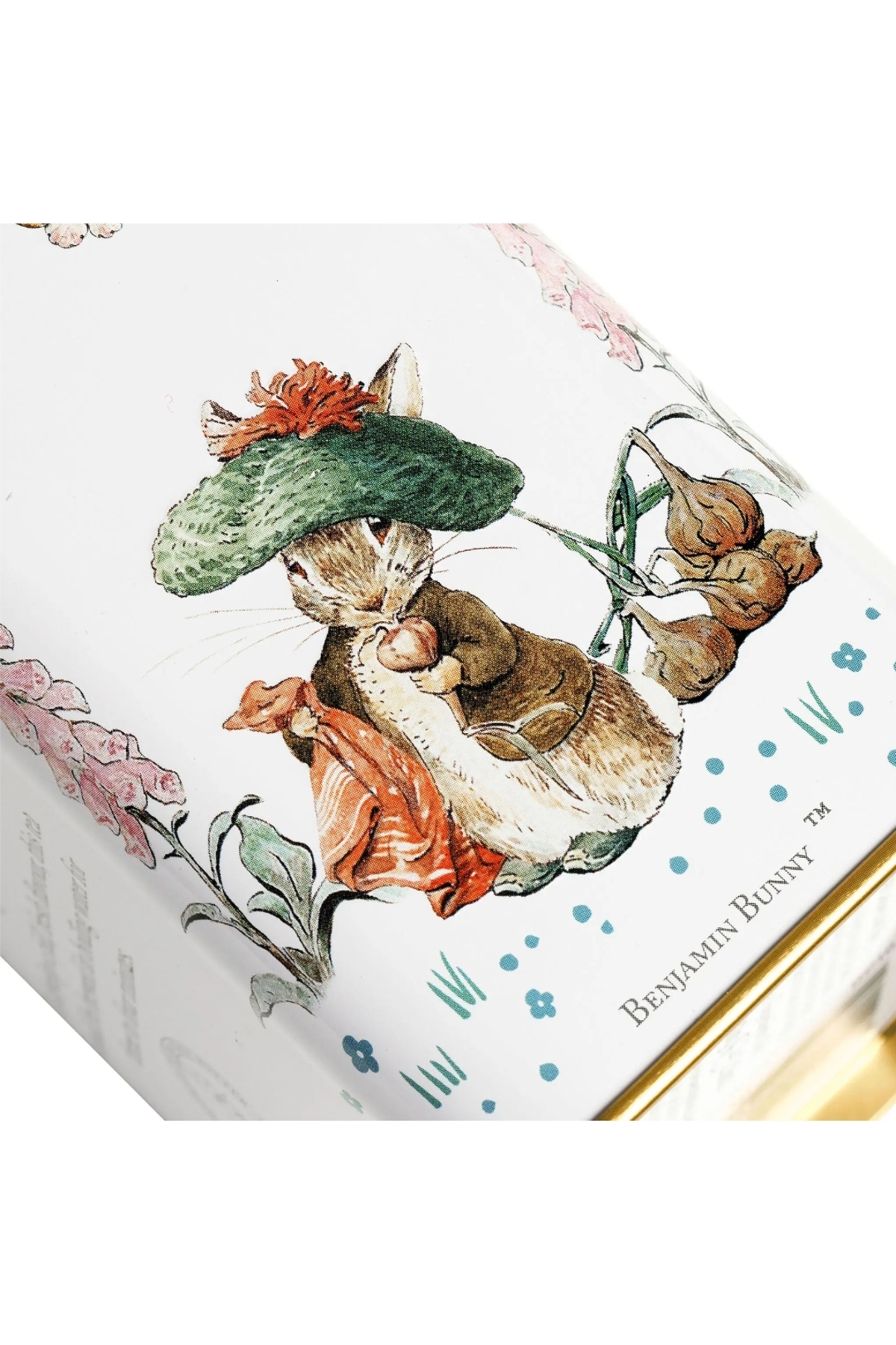 MyBalliStore Beatrix Potter Peter Rabbit Metal Kutu 40'lı İngiliz