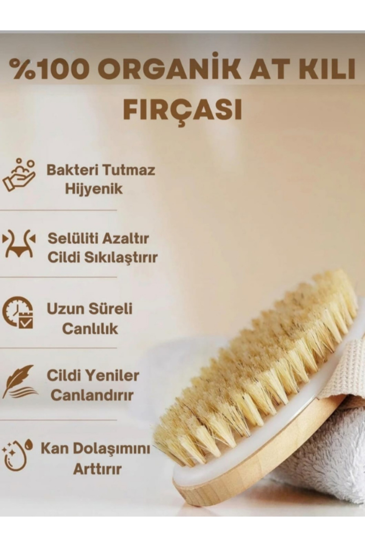 At Kılı Fırçası Selülit Karşıtı Lenf Drenaj Masaj Fırçası %100 Doğal Vücut Sıkılaştırıcı Anti Çatlak — A.fırç00-1 — تصویر 3 از 8