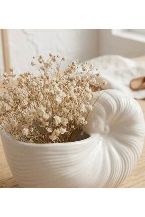 Basart Dekoratif Beyaz Taş Tozu Deniz Kabuğu Vazo - Minimalist Bohem Nautilus...