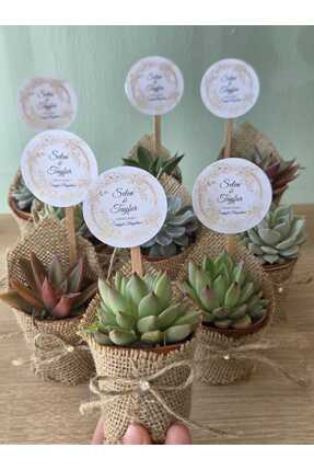 kokuvedoku 10 Adet Söz-Nişan-Nikah-Düğün-Mevlüt-Kurumsal Hediyelik Jüt Kumaş ...