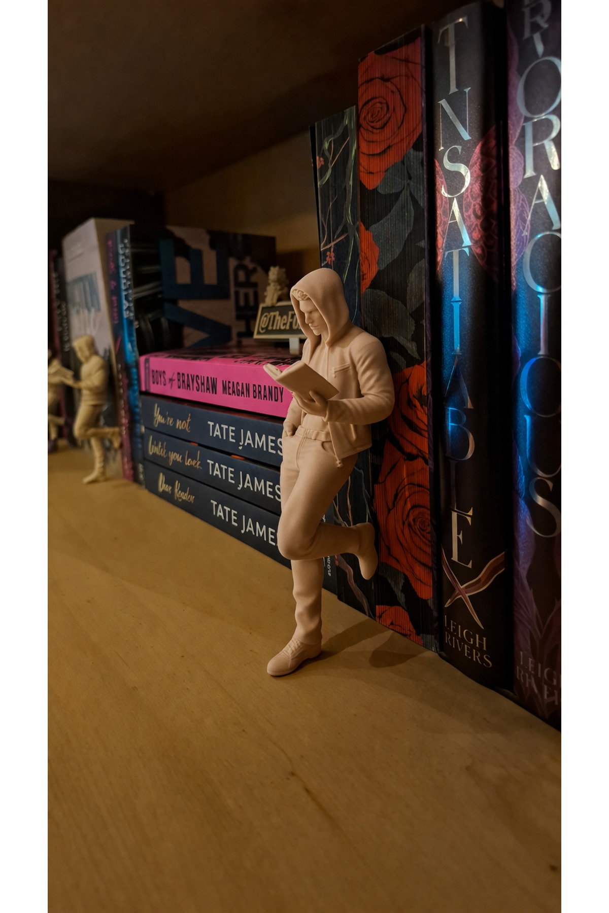 Book Reader Bookcase Decor