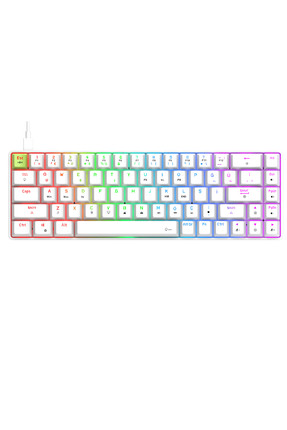 Gravion Raxor RGB Manyetik Switch Gaming Mekanik Oyuncu Klavyesi 68 Tuş Kablo...