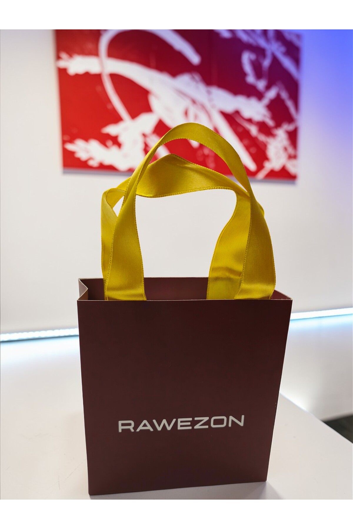 RAWEZON Kutulu Çantalı Karpuz Set-Pirinç Kolye ve Küpe Sevgiliye Hediye Arkadaşa Eşinize Doğum Günü fotoğrafı 6 (önizleme)