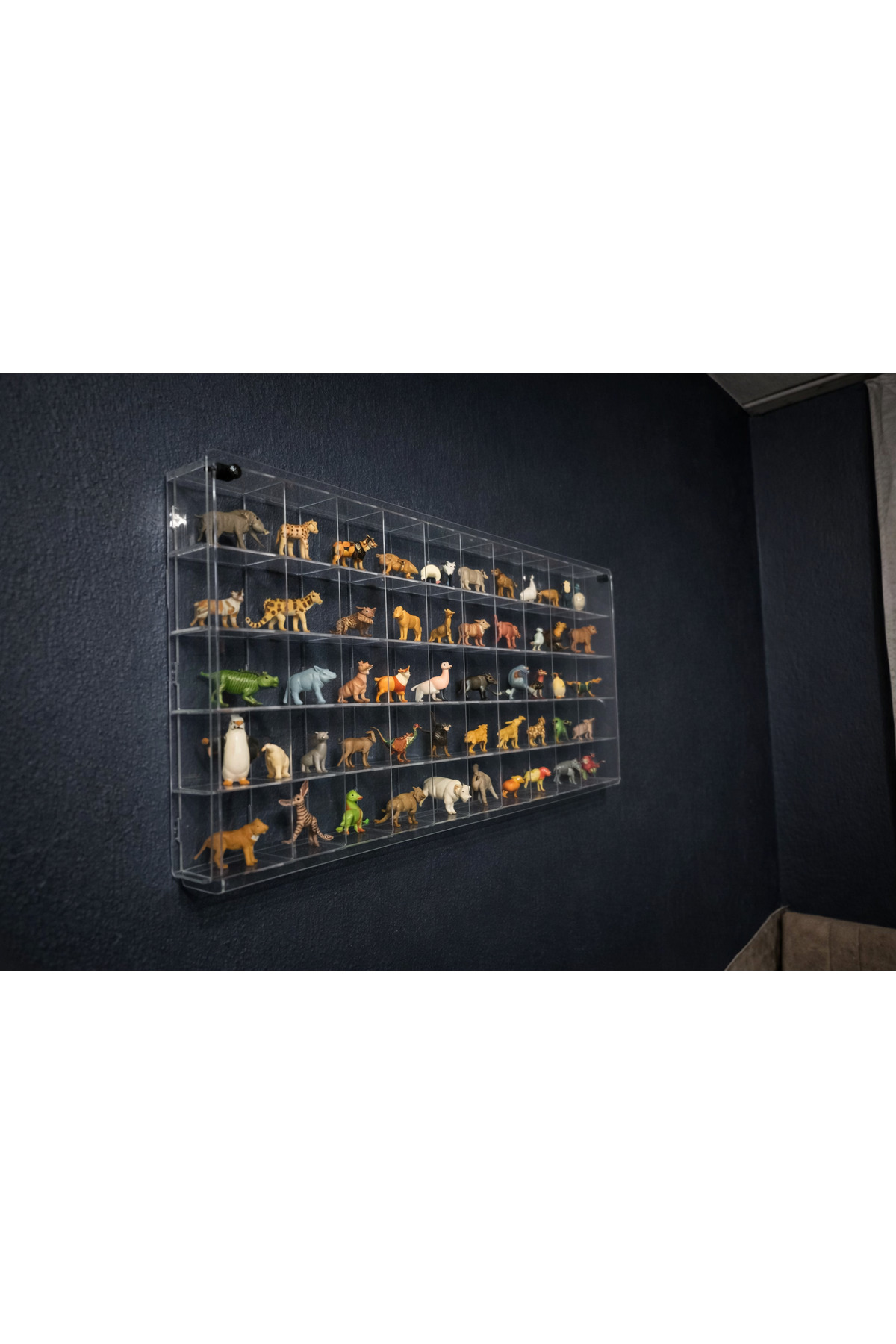 MASTERPOL Kapaklı şeffaf 50li sergileme rafı mini figür miniş yapi taşı lego bricks bloks uyumlu standı fotoğrafı 6 (önizleme)