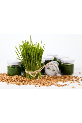 Petiçim Buğday Çimi Suyu 5 Günlük Deneme Paketi Detoks & Bağışıklık