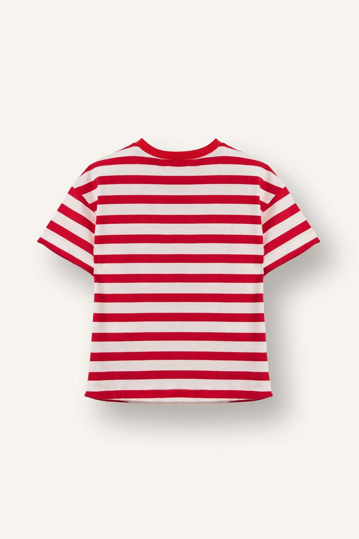 Defacto Çizgili Penye Tişört Kız Bebek H4853A526SM fotoğrafı 3 (önizleme)