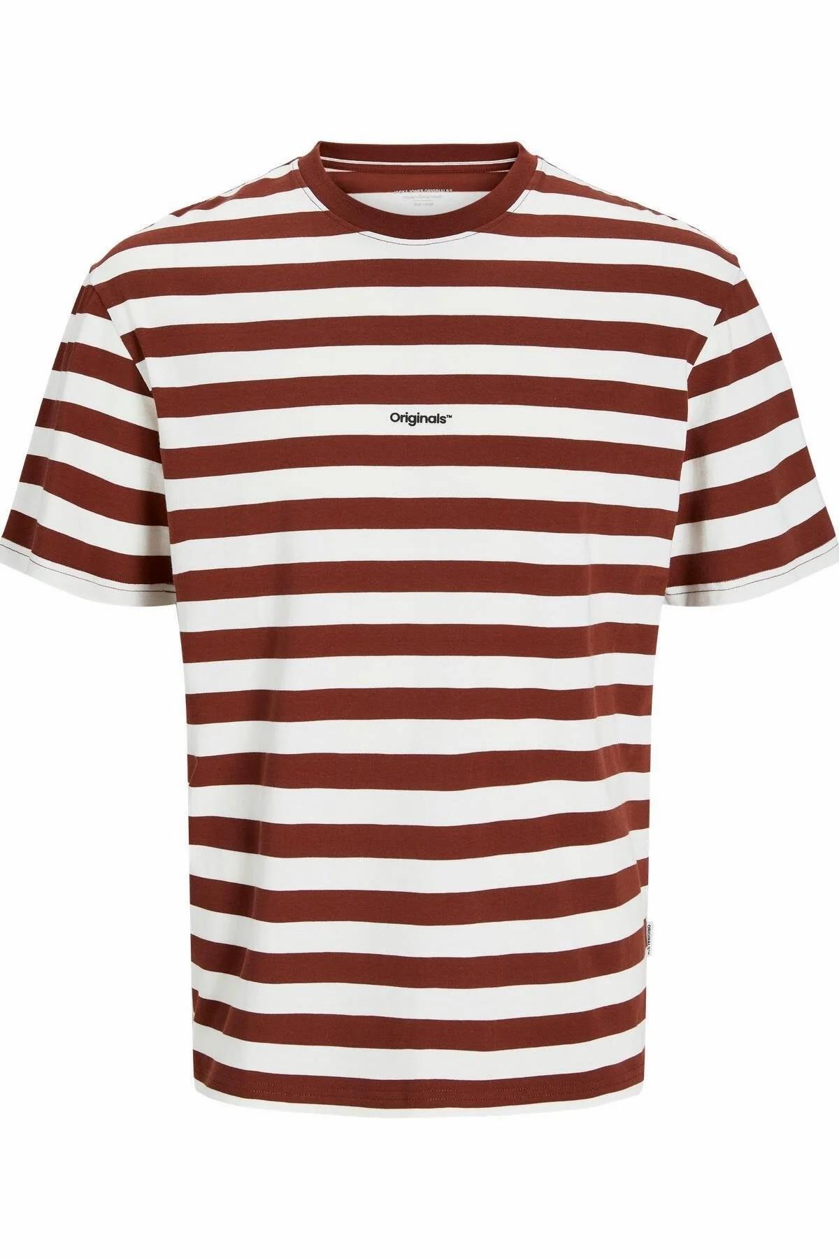 JORVESTERBRO Newton Çizgili Bisiklet Yaka Erkek T-Shirt