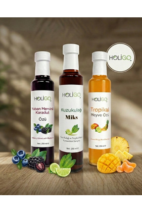 HOLİGO 3'lü Meyve Özü Seti - Kuzukulağı Miks, Tropikal Öz, Yaban Mersini Kara...