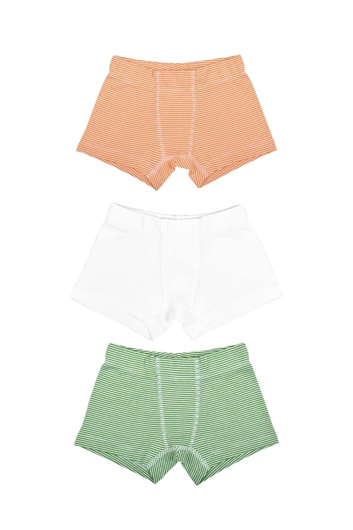 OrganicKid Jungle Cotton Erkek Çocuk İç Çamaşır Set 3'lü fotoğrafı 3 (önizleme)