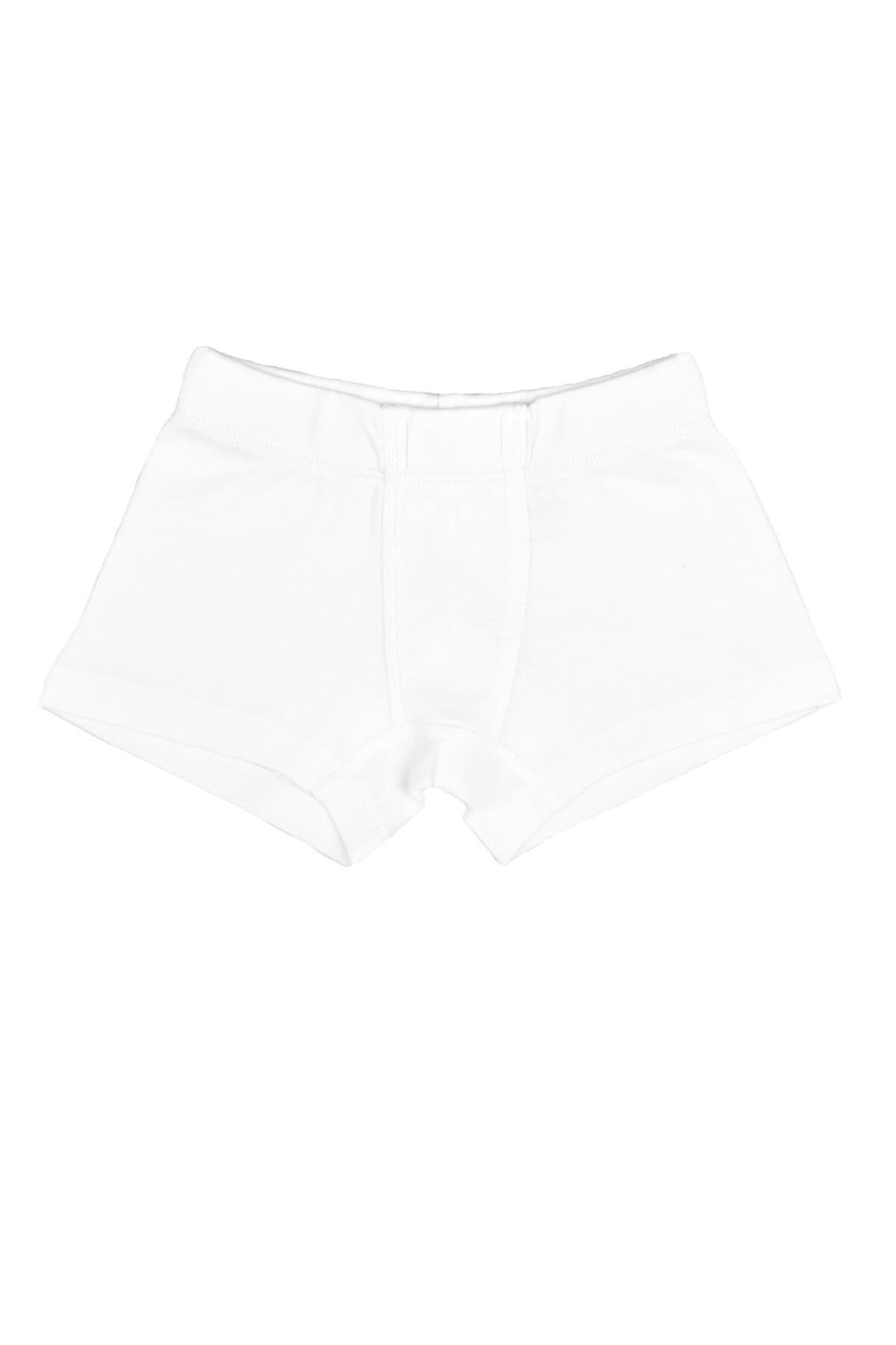 OrganicKid Jungle Cotton Erkek Çocuk İç Çamaşır Set 3'lü fotoğrafı 6 (önizleme)