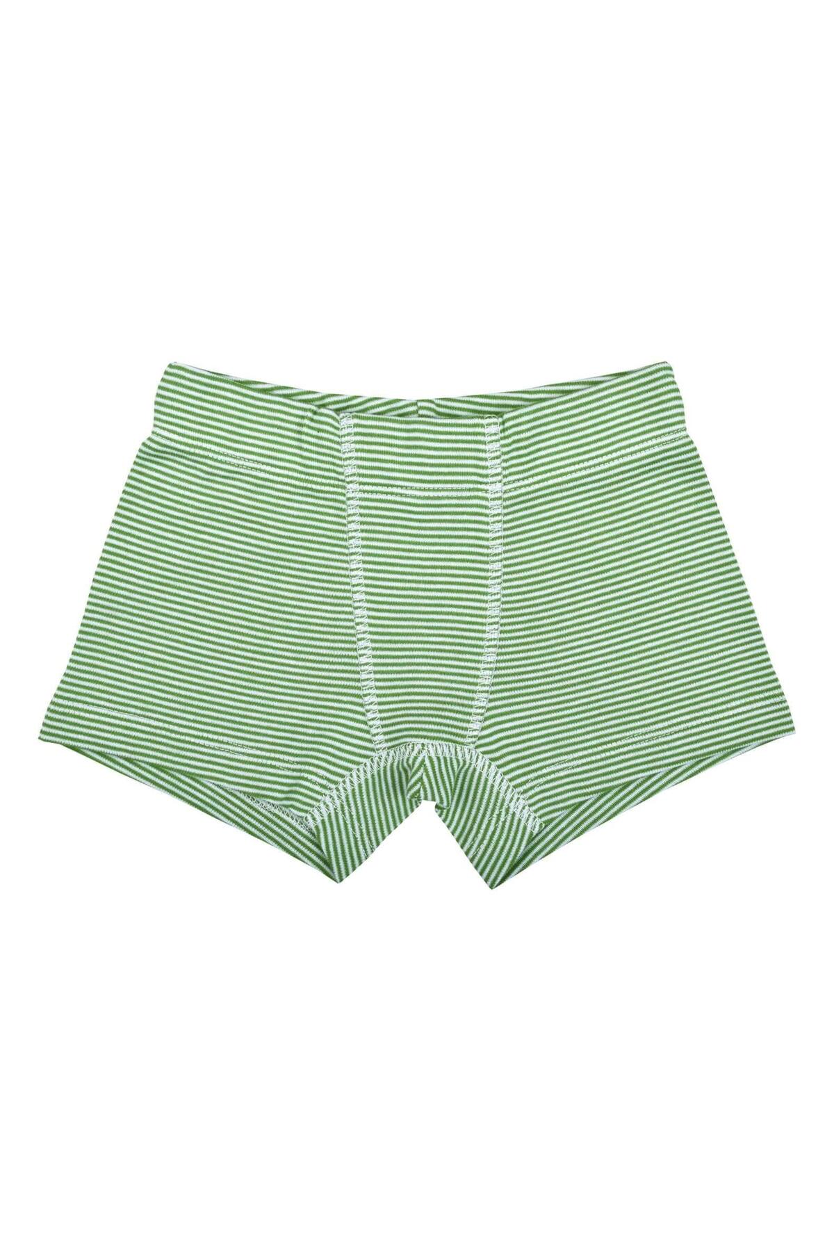 OrganicKid Jungle Cotton Erkek Çocuk İç Çamaşır Set 3'lü fotoğrafı 7 (önizleme)