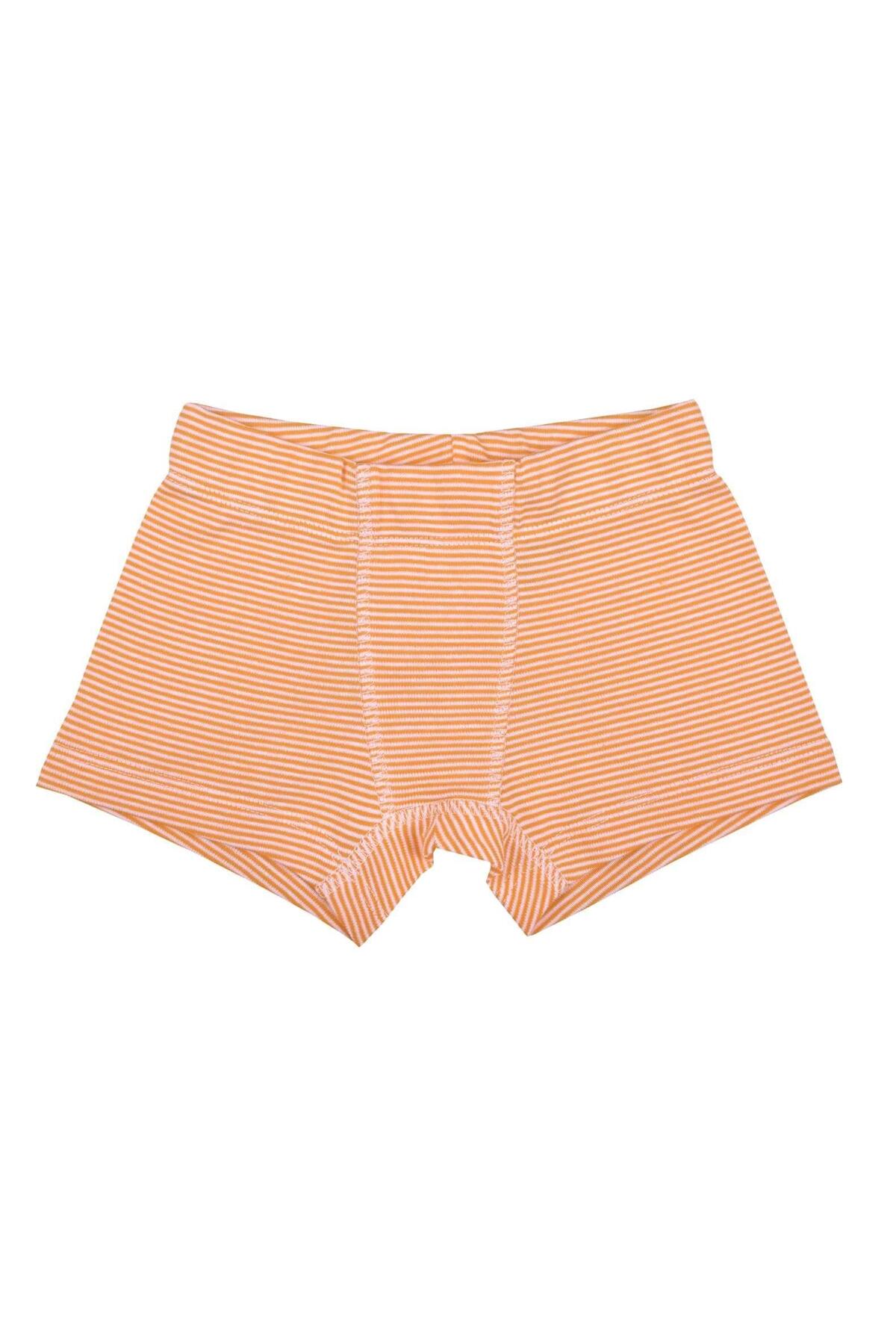 OrganicKid Jungle Cotton Erkek Çocuk İç Çamaşır Set 3'lü fotoğrafı 5 (önizleme)