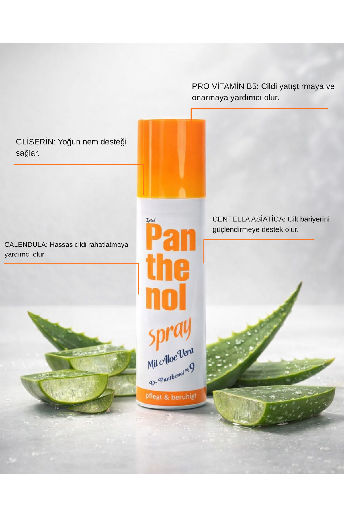 Güneş Kremi 100 ml Güneş Sütü 200 ml Spray 150 ml Koruyucu Bakım Seti — PNTHENOLSET001 — تصویر 5 از 5