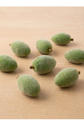 ALPÖZ ORGANİK Çağla Badem 1 Kg Taze Hasat