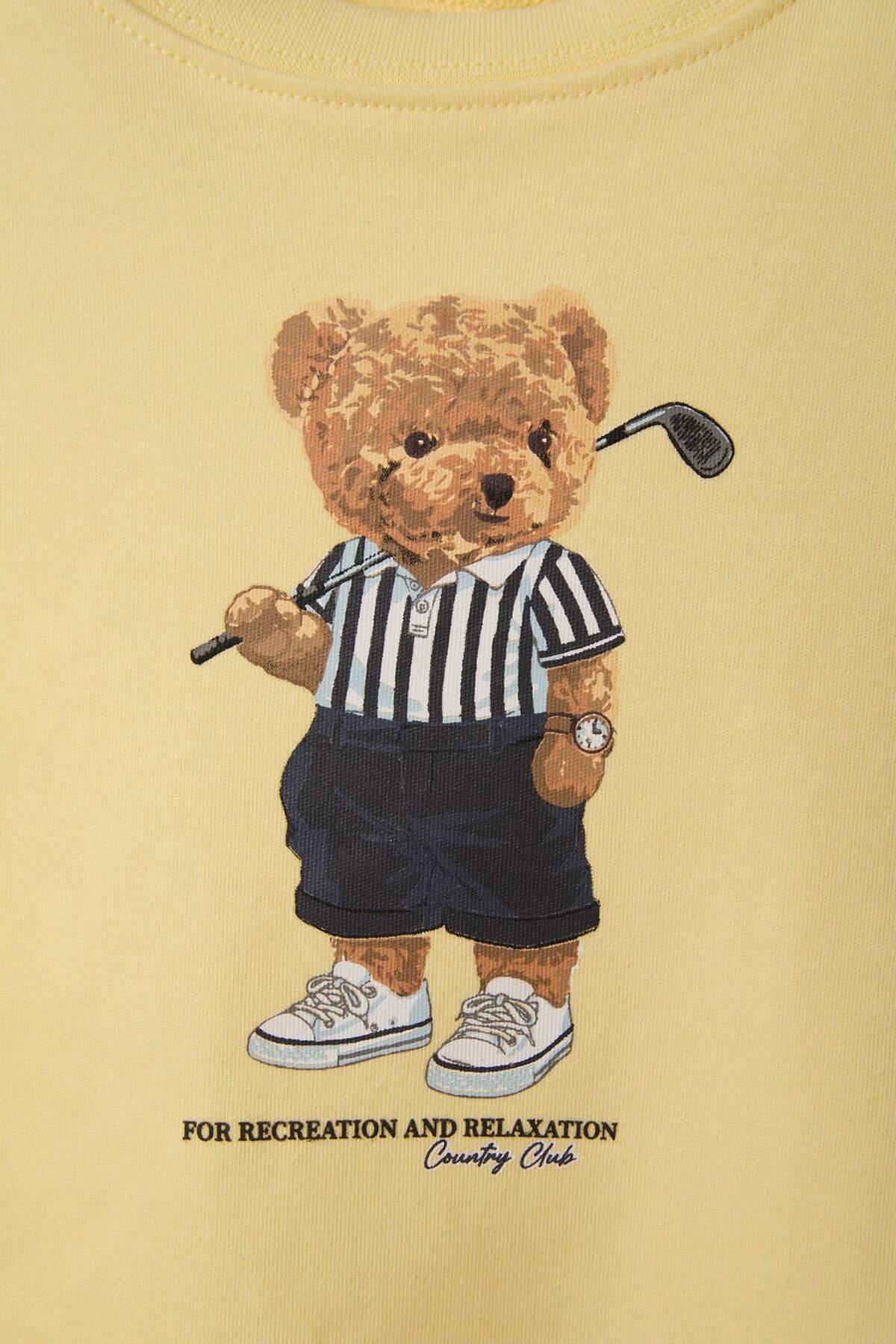 Defacto Regular Fıt Ayı Baskılı Kısa Kollu Tişört Erkek Bebek H2832A526SM fotoğrafı 2 (önizleme)