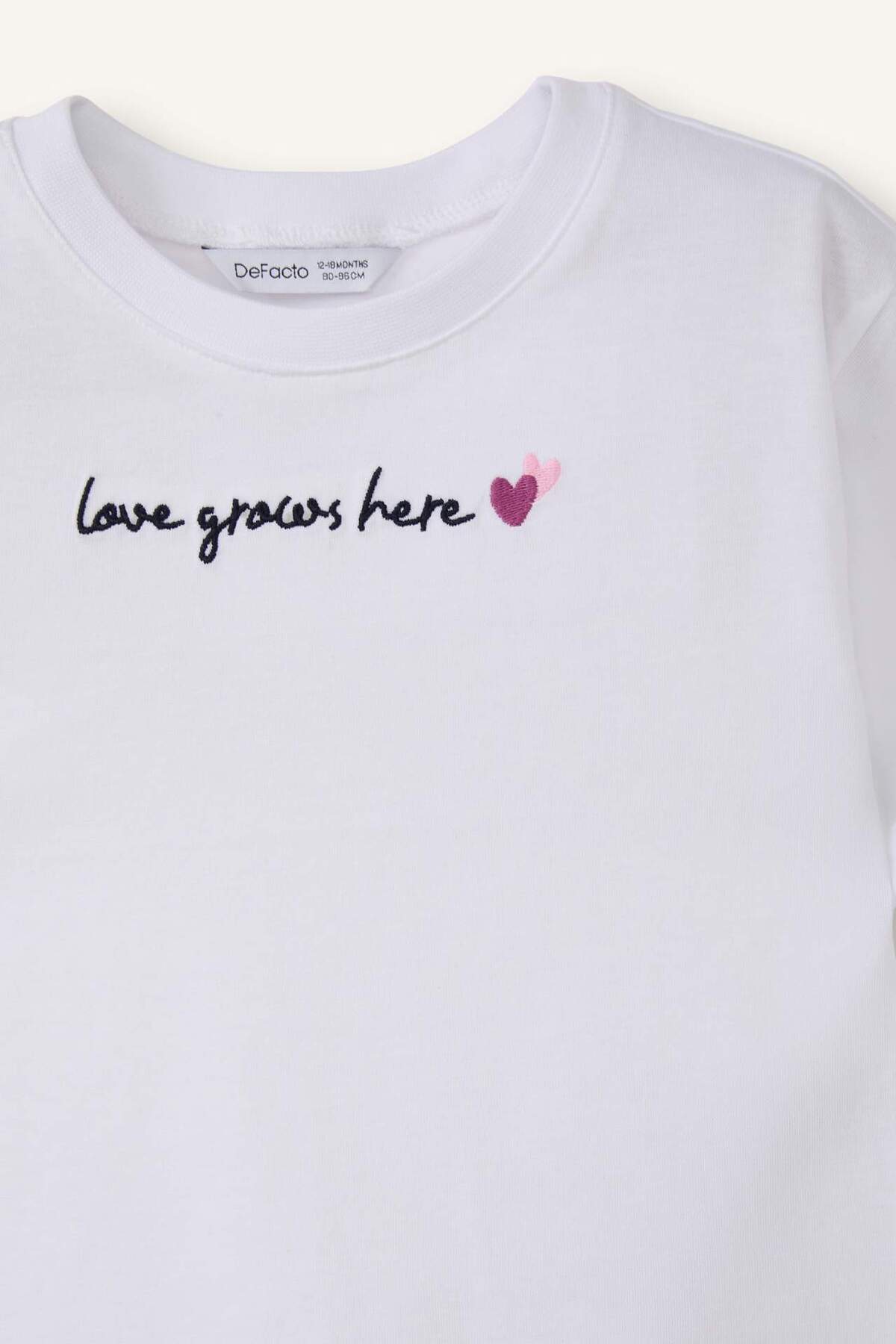 Defacto Çizgili Penye 3lü Tişört Kız Bebek H3001A526SM fotoğrafı 3 (önizleme)