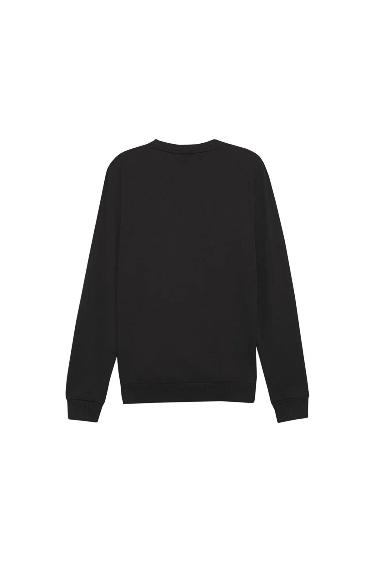Puma TeamGOAL Casuals Crew Neck Sweatshirt 65859203 Siyah Unisex Üst görsel 2