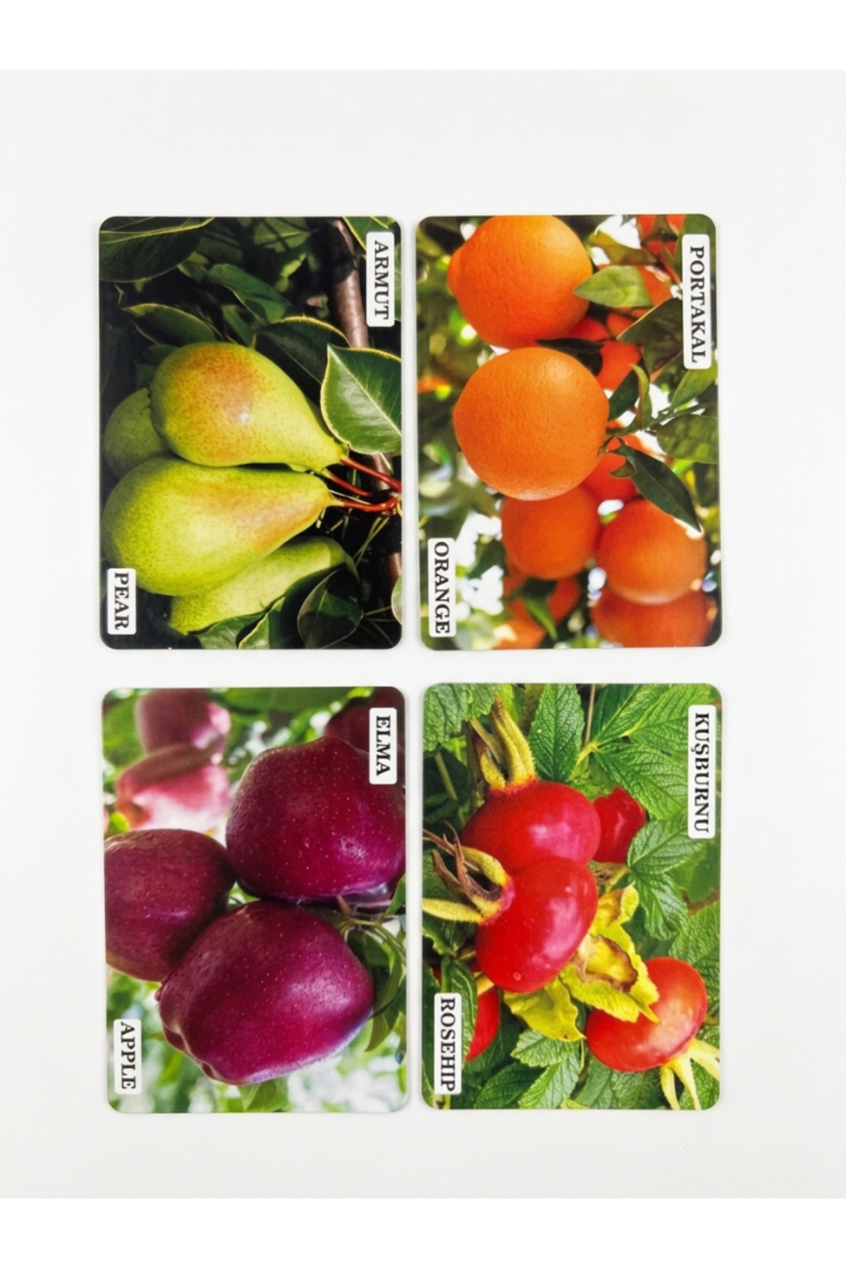 Tıfıl Toys 50 Kartlı Resimli Meyve ve Sebze Eğitici İngilizce Destekli Zeka Oyuncak Kart Oyunu fotoğrafı 4 (önizleme)