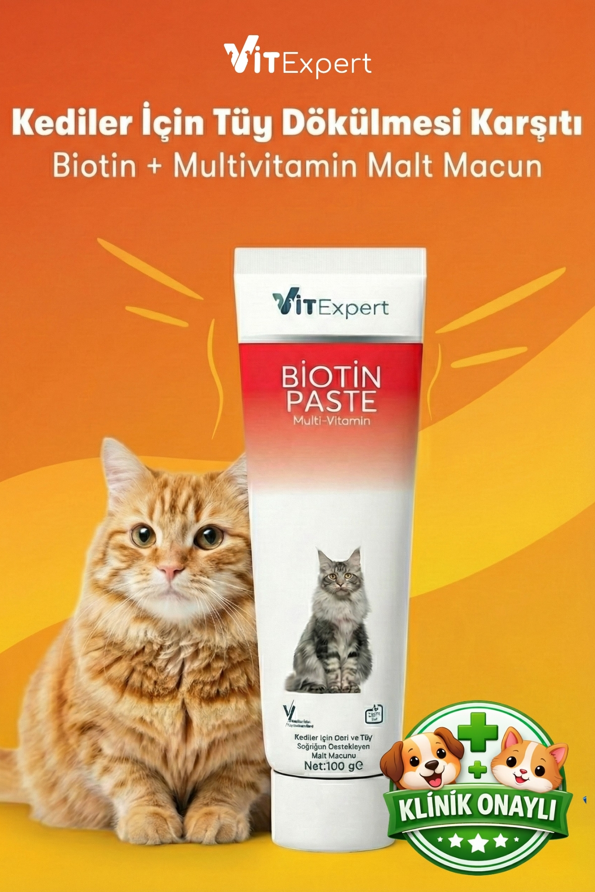 Vitexpert Kediler Için Biotin Paste Tüy Dökülme Engelleyici Döküm Önleyici Tüy Sağlığı Malt Macunu 100 gr - Fiyatı, Yorumları