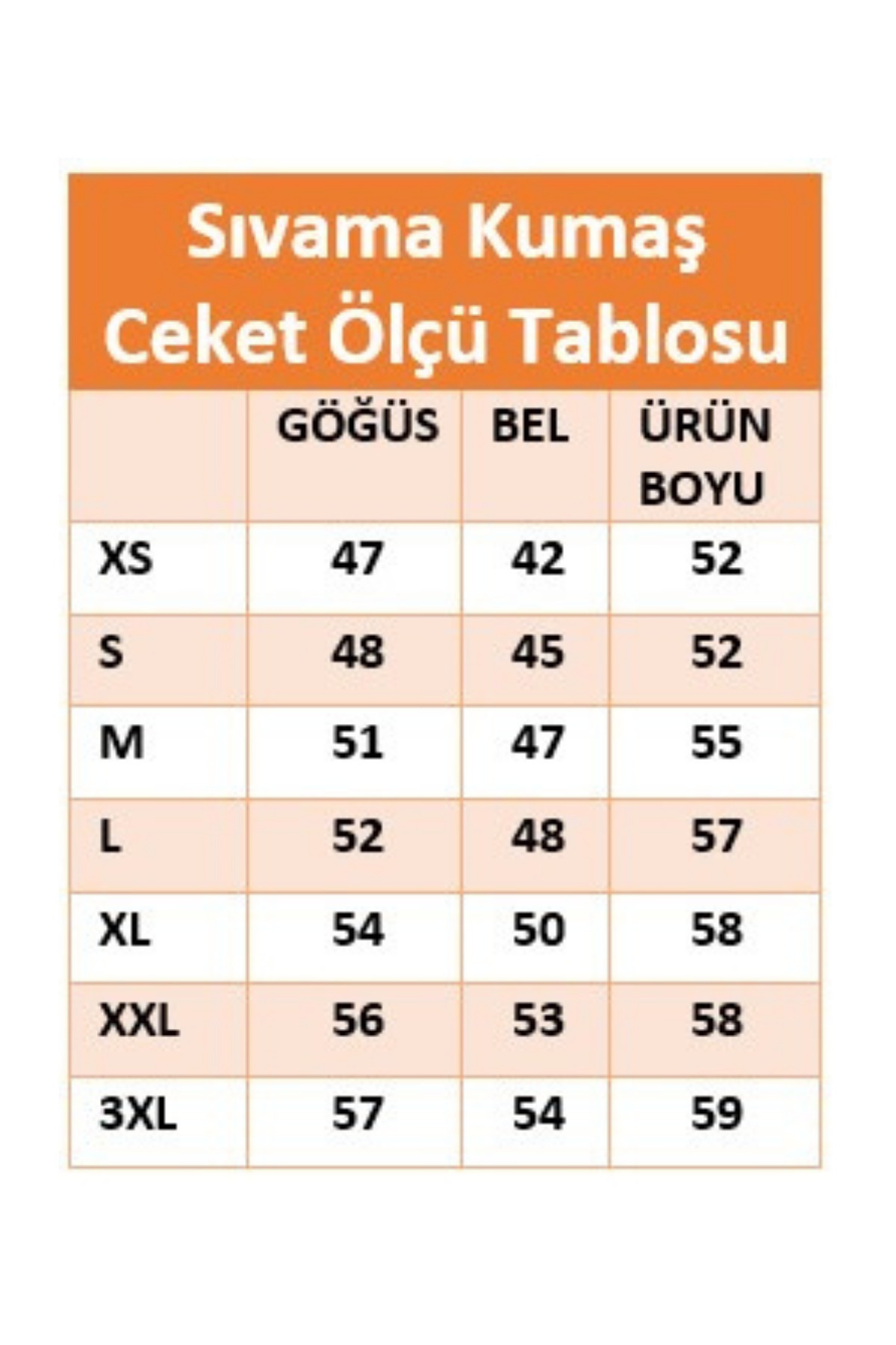 Banadamoda  Kadın Sıvama Kumaş Spor Ceket - Görsel 2