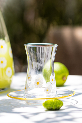 Rakle Renkli 12 Parça Çay Seti, 170 cc, şık ve kullanışlı tasarım