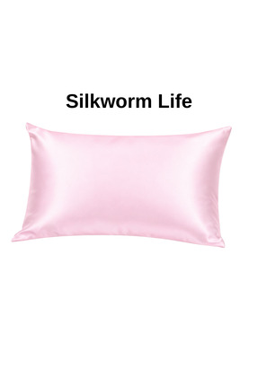 silkwormlife DOĞAL BEYAZ RENKLİ ( İPEĞİN KENDİ RENGİ ) 100 % Ipek Yastık Kılı...