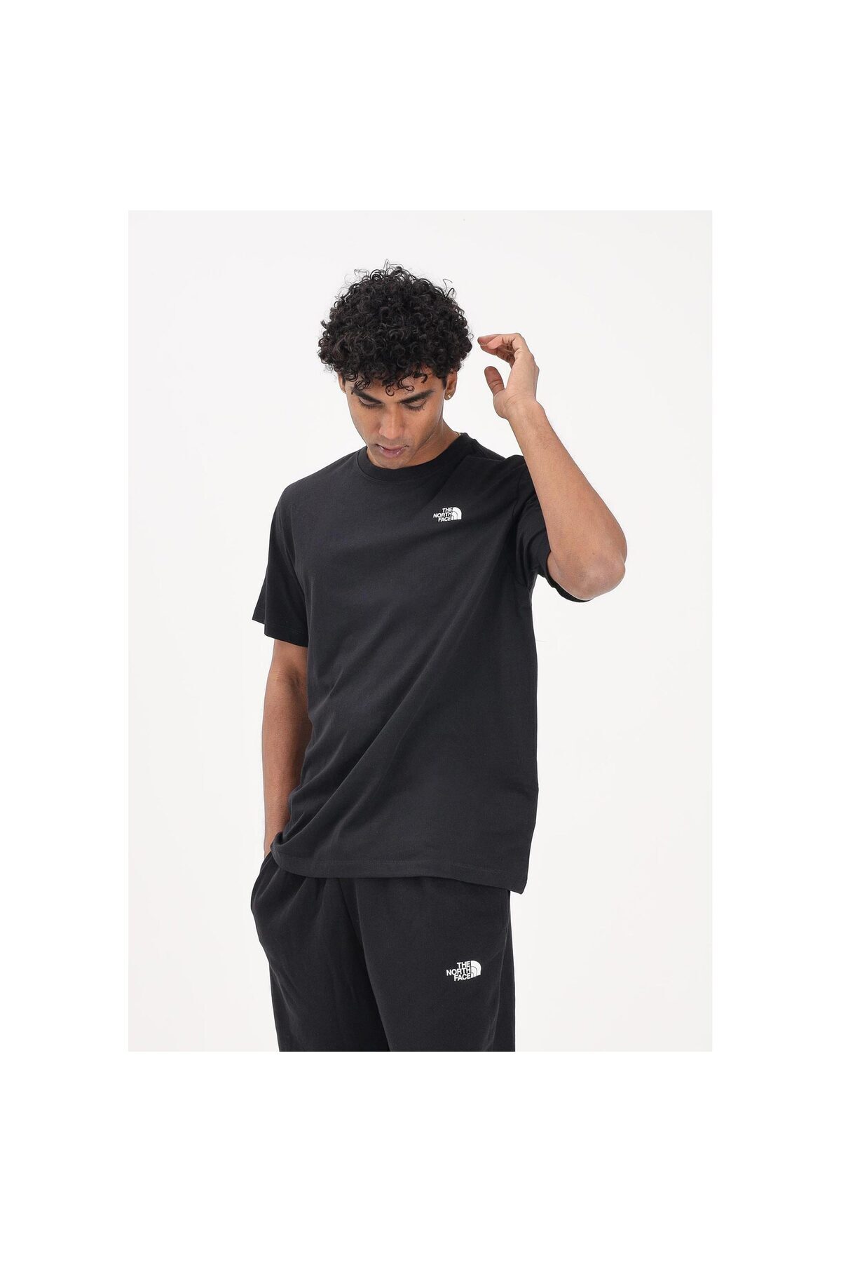THE NORTH FACE Evolution Simple Dome Erkek Syah Tişört (NF0A8CZ2JK31) görsel 3