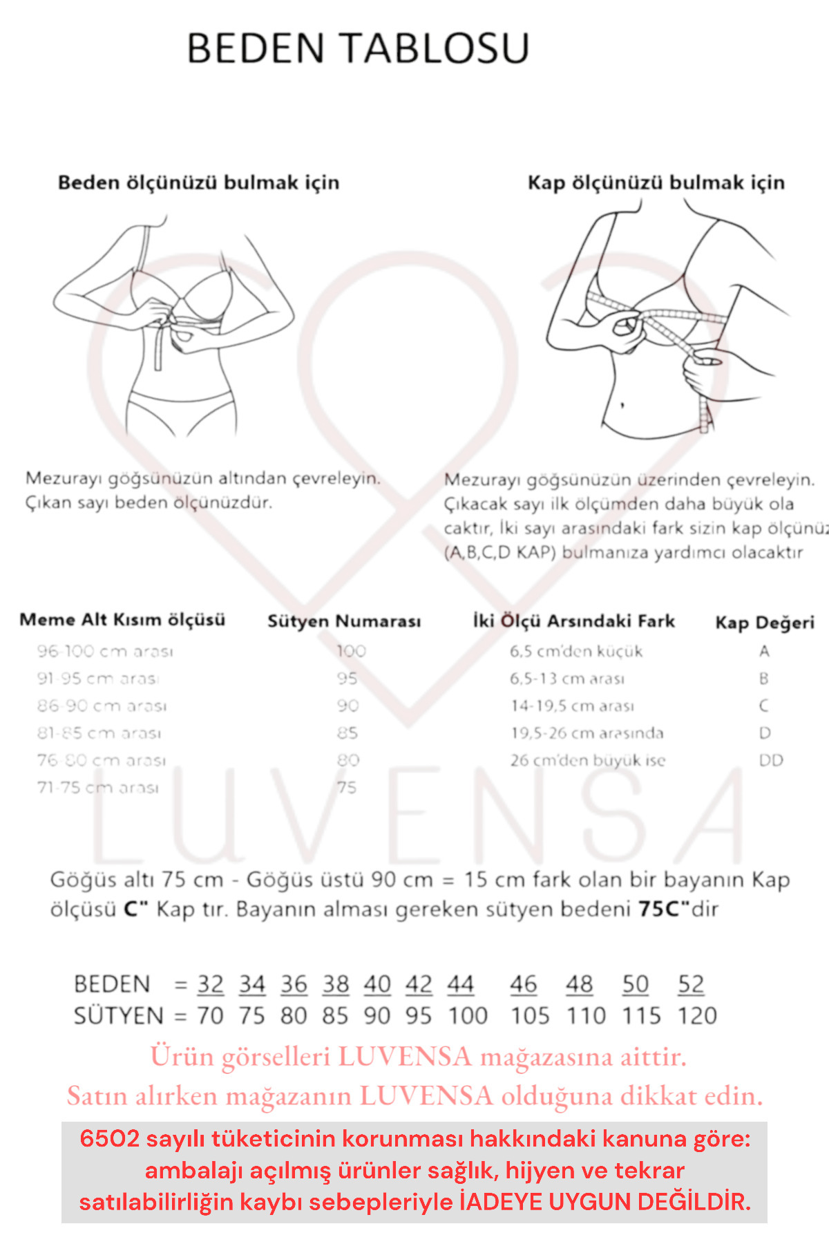 Luvensa Mavi Kalpli Dolgulu Sütyen Takımı (Sütyen & Tanga) fotoğrafı 4 (önizleme)