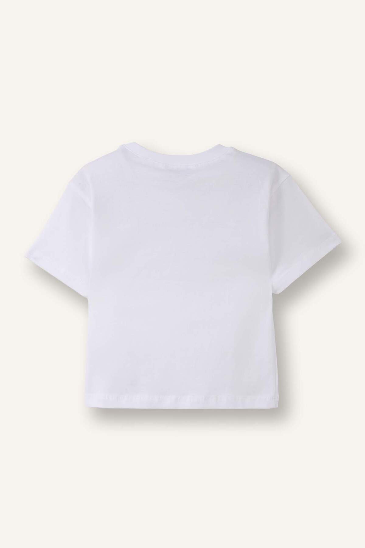 Defacto Çizgili Penye 3lü Tişört Kız Bebek H3001A526SM fotoğrafı 4 (önizleme)