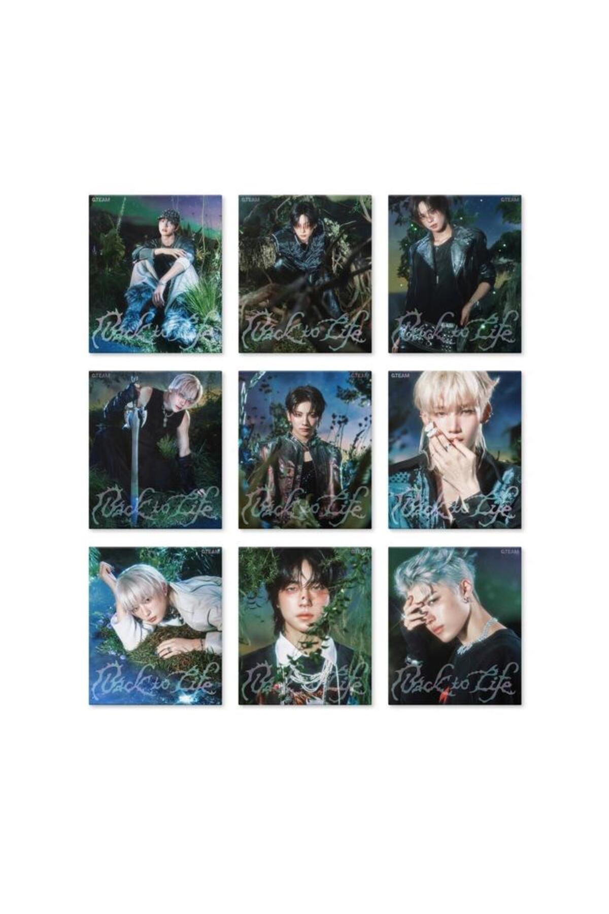 tays store &TEAM - KR 1st Mini Album [Back to Life] ROAR Ver